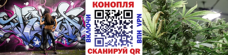Магазины продажи наркотиков Новосокольники Альфа ПВП  КОКАИН 