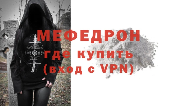 индика Ельня