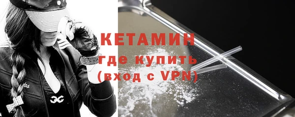 индика Ельня