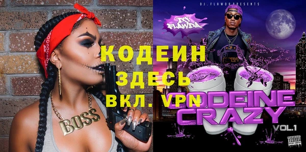индика Ельня