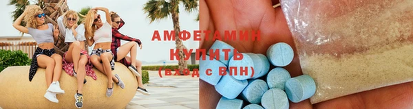 индика Ельня