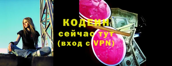 индика Ельня