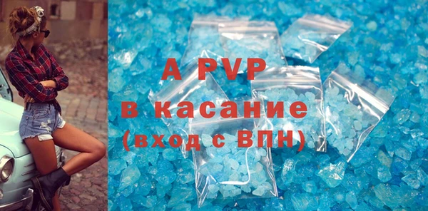 индика Ельня