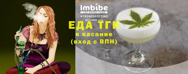индика Ельня
