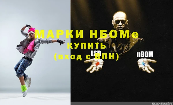 индика Ельня