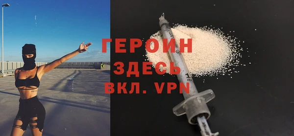 индика Ельня