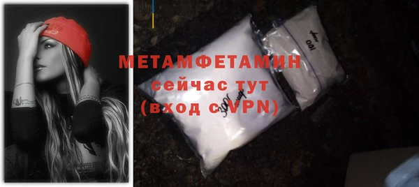 индика Ельня