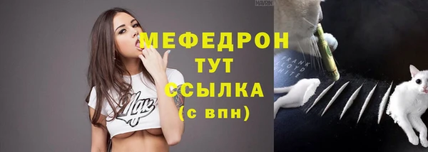 индика Ельня