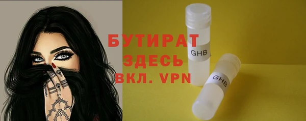 индика Ельня