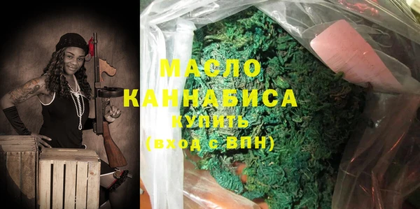 индика Ельня