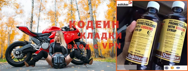 индика Ельня
