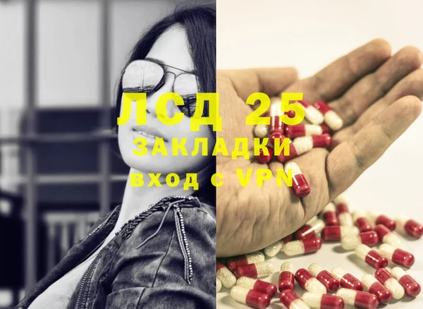 индика Ельня