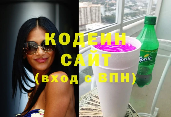 индика Ельня