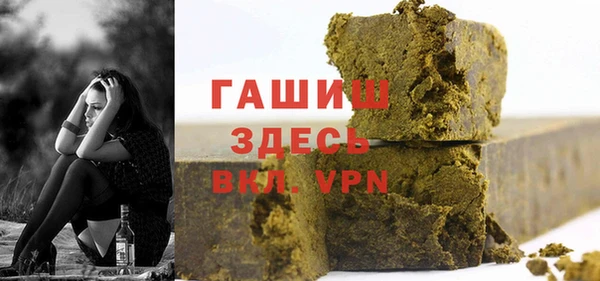 индика Ельня