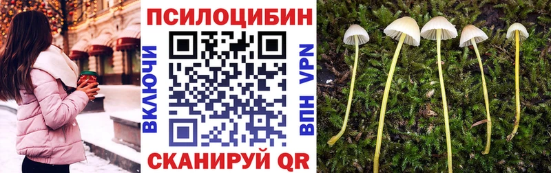 Галлюциногенные грибы Cubensis Новосокольники