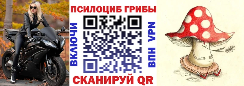закладки  Новосокольники  Галлюциногенные грибы ЛСД 