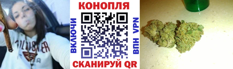 OMG маркетплейс  это как зайти  Бошки марихуана сатива  купить наркотики цена  Новосокольники 